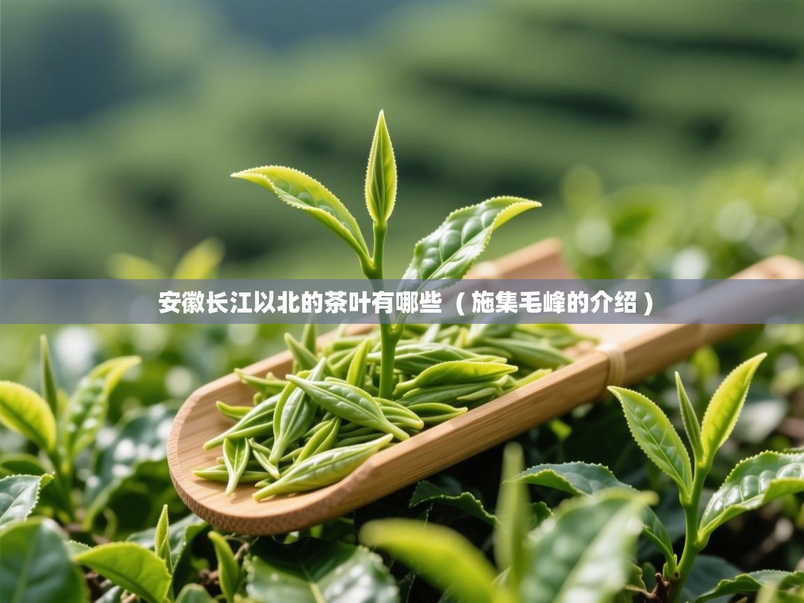 详细阅读: 安徽长江以北的茶叶有哪些  ( 施集毛峰的介绍 )  安徽长江以北的茶叶有哪些  ( 施集毛峰的介绍 )