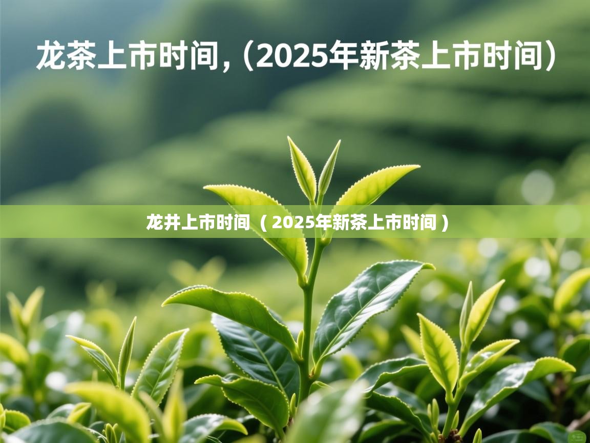 龙井上市时间  ( 2025年新茶上市时间 )  龙井上市时间  ( 2025年新茶上市时间 )