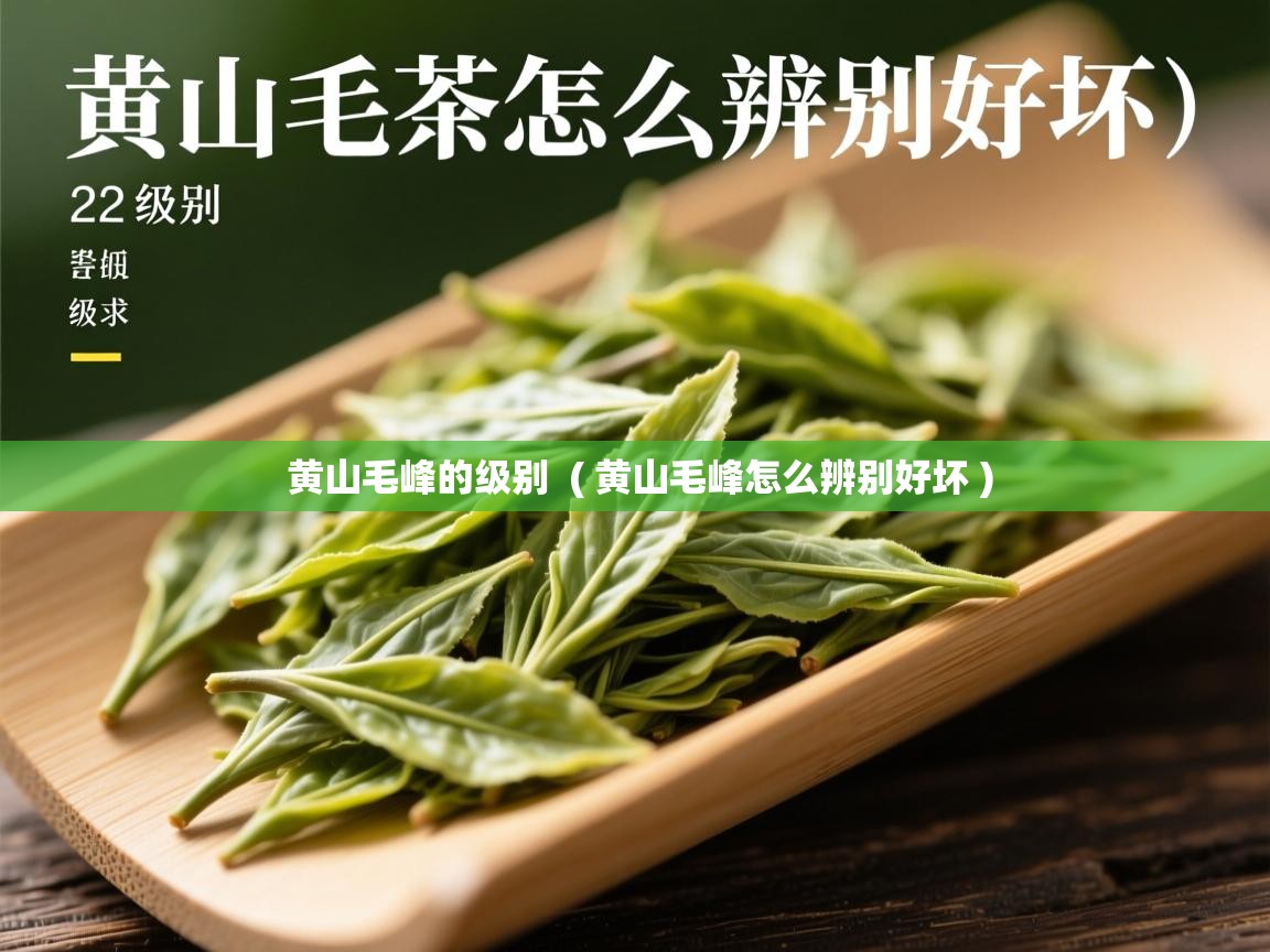 黄山毛峰的级别  ( 黄山毛峰怎么辨别好坏 )  黄山毛峰的级别  ( 黄山毛峰怎么辨别好坏 )