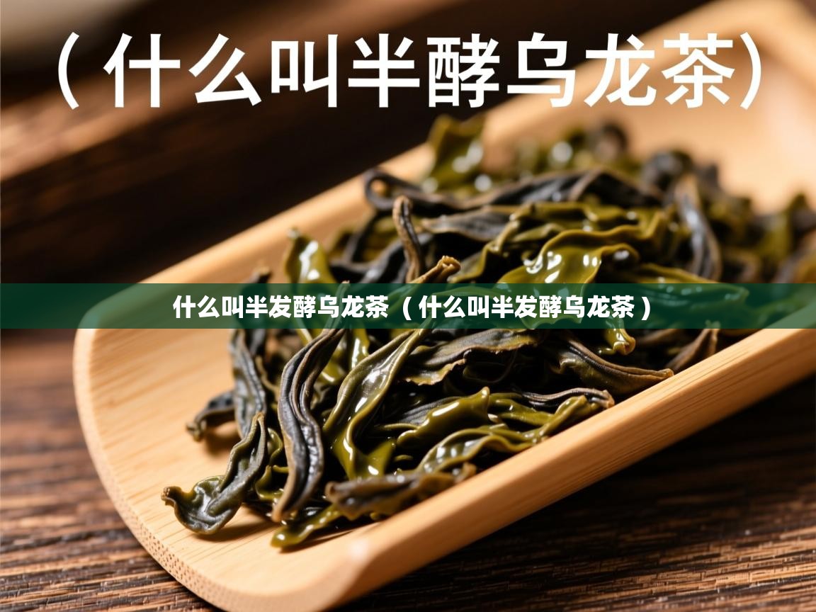 什么叫半发酵乌龙茶  ( 什么叫半发酵乌龙茶 )  什么叫半发酵乌龙茶  ( 什么叫半发酵乌龙茶 )
