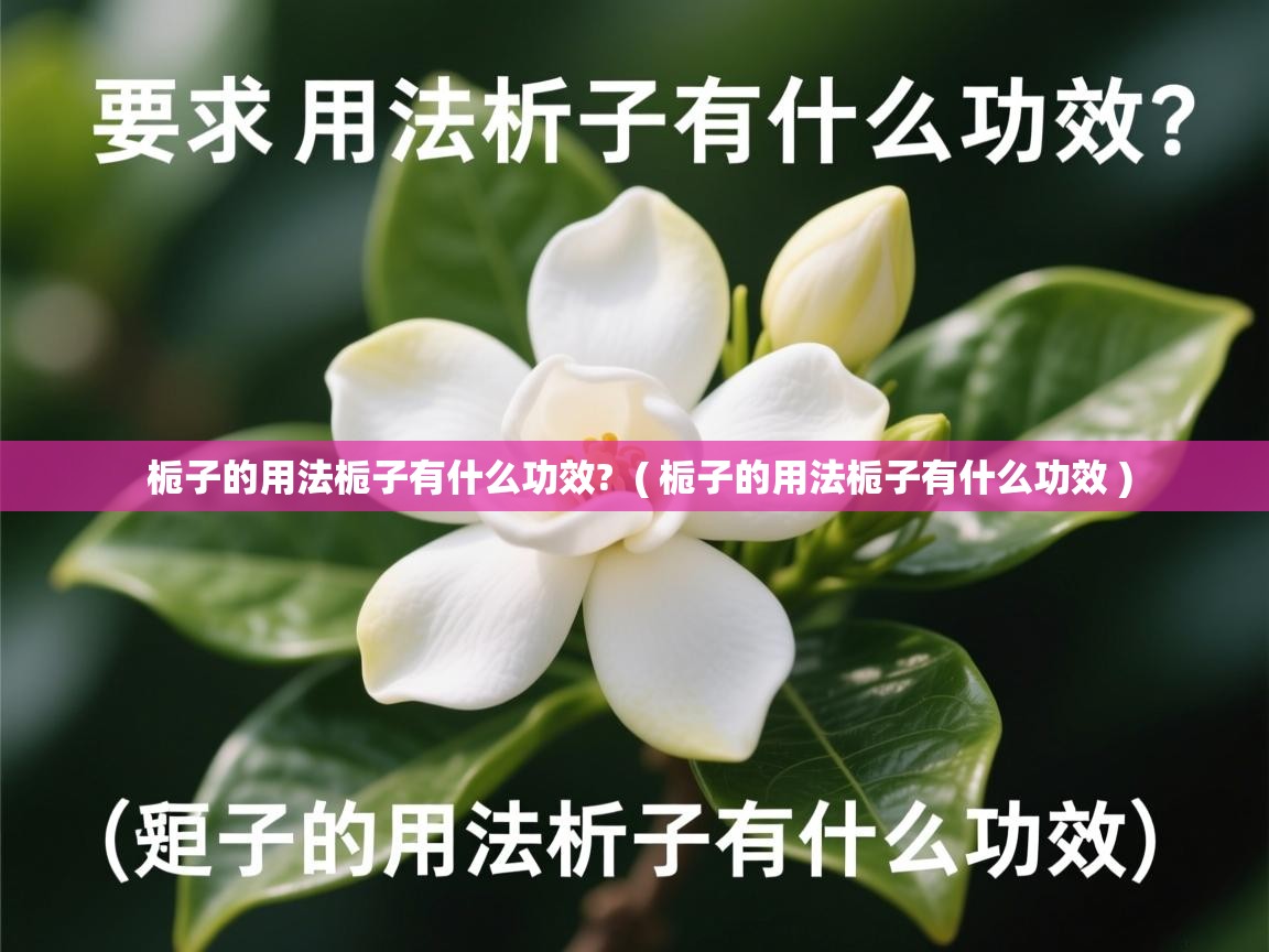 栀子的用法栀子有什么功效?  ( 栀子的用法栀子有什么功效 )  栀子的用法栀子有什么功效?  ( 栀子的用法栀子有什么功效 )