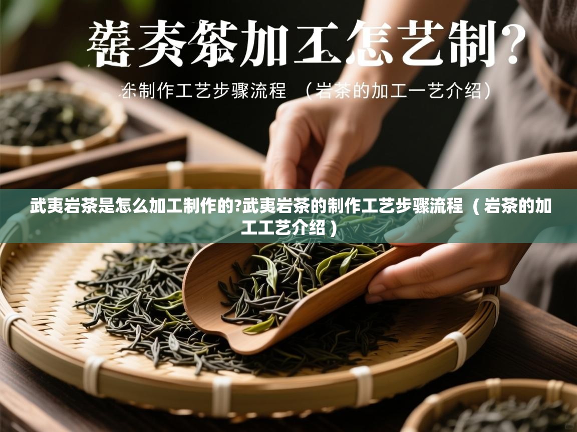 武夷岩茶是怎么加工制作的?武夷岩茶的制作工艺步骤流程  ( 岩茶的加工工艺介绍 )  武夷岩茶是怎么加工制作的?武夷岩茶的制作工艺步骤流程  ( 岩茶的加工工艺介绍 )