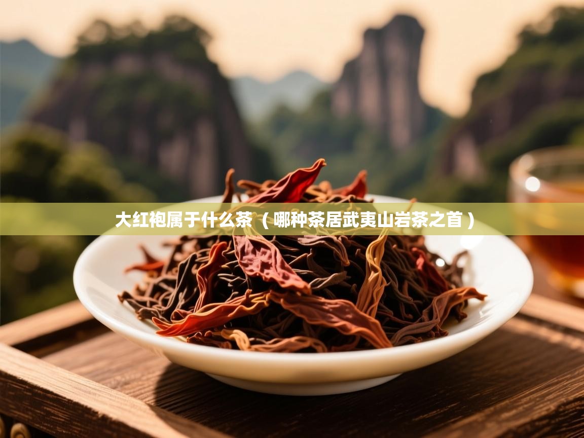 大红袍属于什么茶  ( 哪种茶居武夷山岩茶之首 )  大红袍属于什么茶  ( 哪种茶居武夷山岩茶之首 )