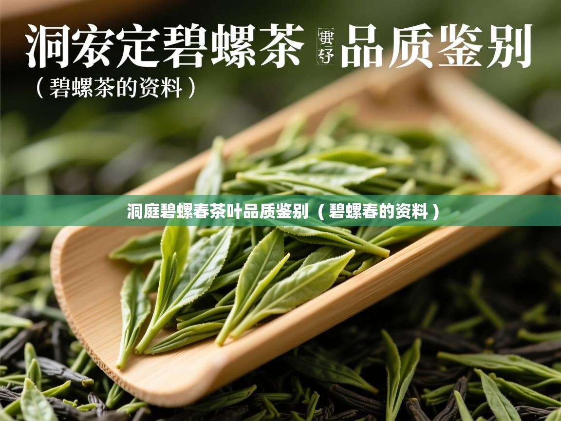 洞庭碧螺春茶叶品质鉴别  ( 碧螺春的资料 )  洞庭碧螺春茶叶品质鉴别  ( 碧螺春的资料 )