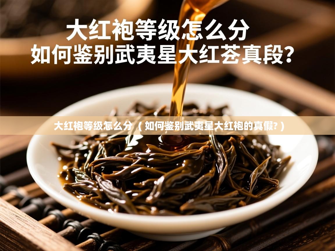 大红袍等级怎么分  ( 如何鉴别武夷星大红袍的真假? )  大红袍等级怎么分  ( 如何鉴别武夷星大红袍的真假? )
