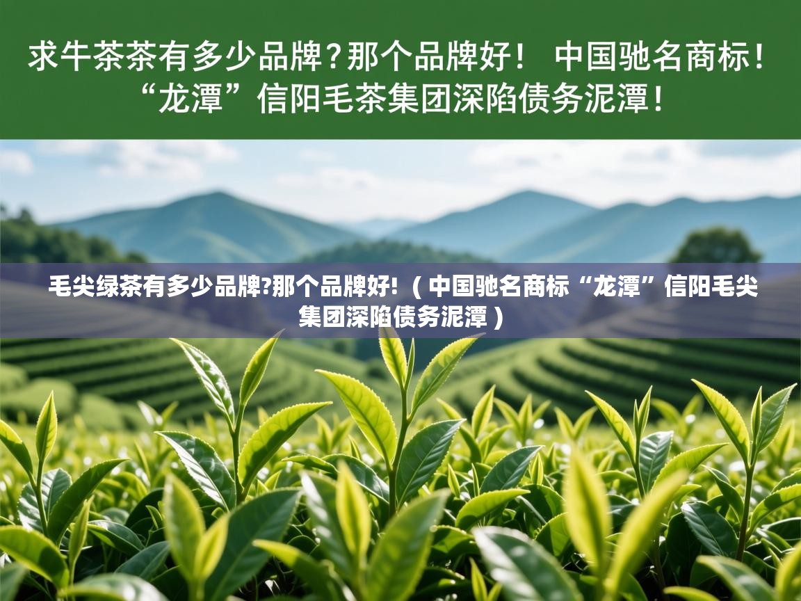 毛尖绿茶有多少品牌?那个品牌好!  ( 中国驰名商标“龙潭”信阳毛尖集团深陷债务泥潭 )  毛尖绿茶有多少品牌?那个品牌好!  ( 中国驰名商标“龙潭”信阳毛尖集团深陷债务泥潭 )