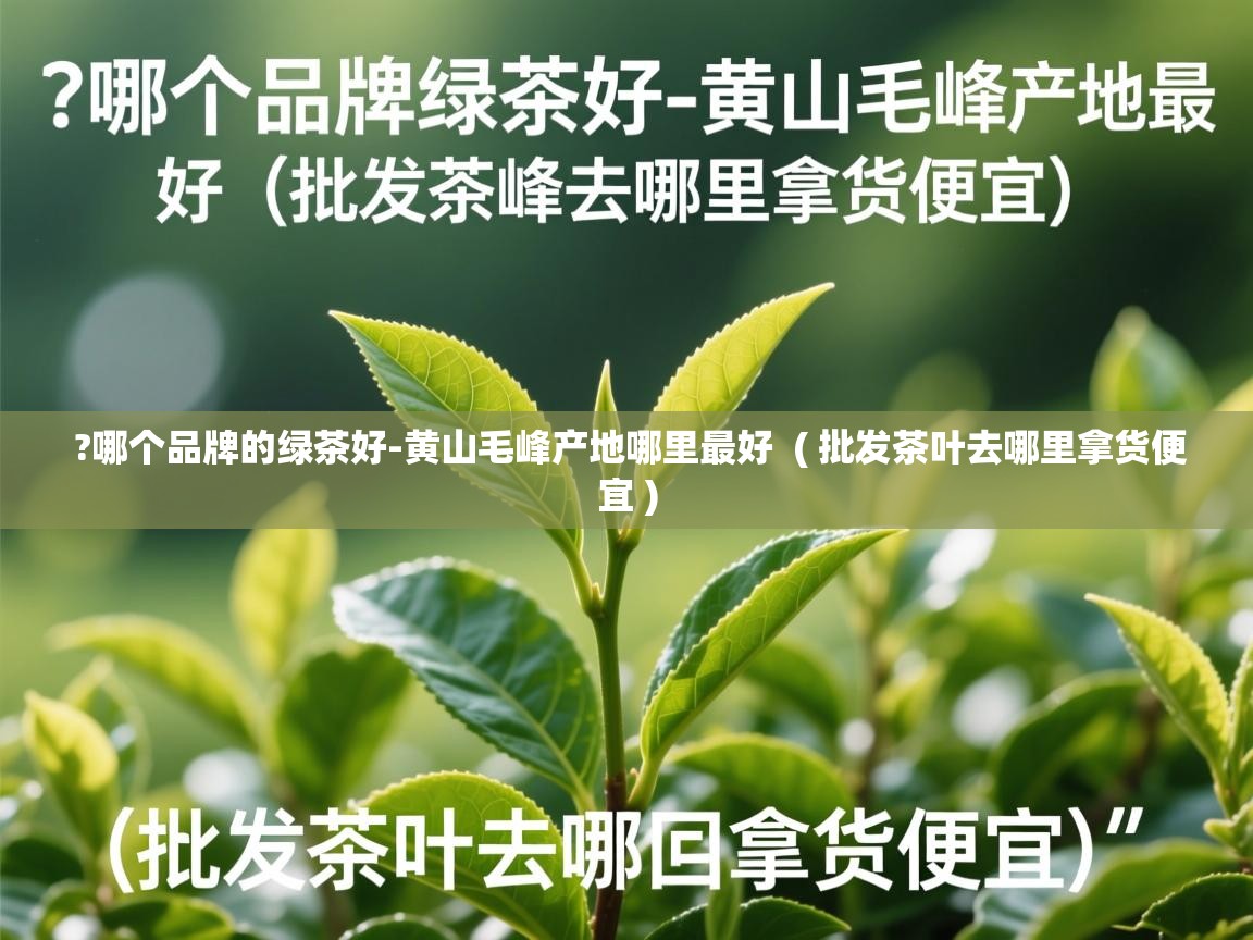 ?哪个品牌的绿茶好-黄山毛峰产地哪里最好  ( 批发茶叶去哪里拿货便宜 )  ?哪个品牌的绿茶好-黄山毛峰产地哪里最好  ( 批发茶叶去哪里拿货便宜 )