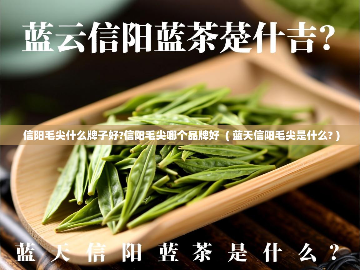 信阳毛尖什么牌子好?信阳毛尖哪个品牌好  ( 蓝天信阳毛尖是什么? )  信阳毛尖什么牌子好?信阳毛尖哪个品牌好  ( 蓝天信阳毛尖是什么? )
