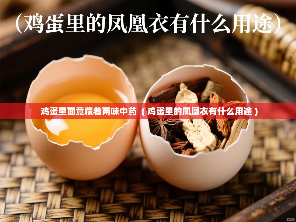鸡蛋里面竟藏着两味中药  ( 鸡蛋里的凤凰衣有什么用途 )  鸡蛋里面竟藏着两味中药  ( 鸡蛋里的凤凰衣有什么用途 )