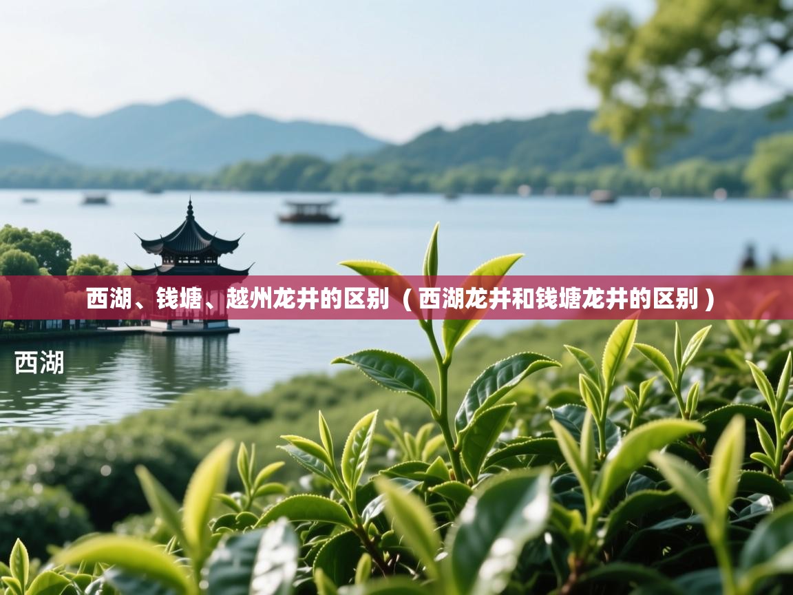 西湖、钱塘、越州龙井的区别  ( 西湖龙井和钱塘龙井的区别 )  西湖、钱塘、越州龙井的区别  ( 西湖龙井和钱塘龙井的区别 )