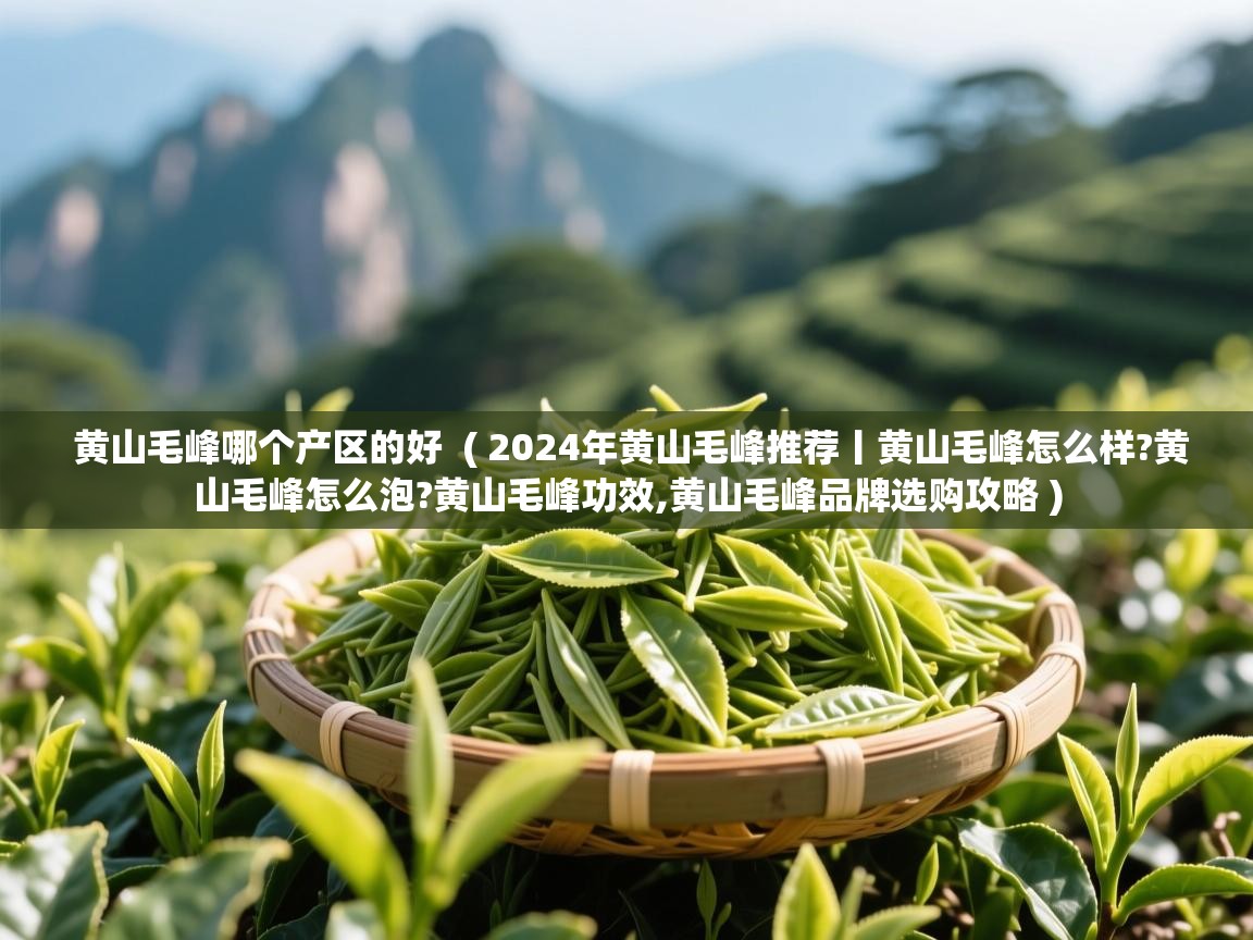黄山毛峰哪个产区的好  ( 2024年黄山毛峰推荐丨黄山毛峰怎么样?黄山毛峰怎么泡?黄山毛峰功效,黄山毛峰品牌选购攻略 )  黄山毛峰哪个产区的好  ( 2024年黄山毛峰推荐丨黄山毛峰怎么样?黄山毛峰怎么泡?黄山毛峰功效,黄山毛峰品牌选购攻略 )