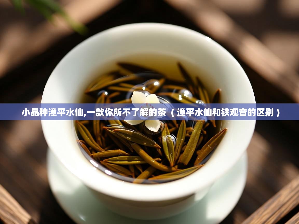 小品种漳平水仙,一款你所不了解的茶  ( 漳平水仙和铁观音的区别 )  小品种漳平水仙,一款你所不了解的茶  ( 漳平水仙和铁观音的区别 )