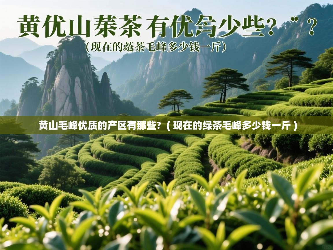 黄山毛峰优质的产区有那些?  ( 现在的绿茶毛峰多少钱一斤 )  黄山毛峰优质的产区有那些?  ( 现在的绿茶毛峰多少钱一斤 )
