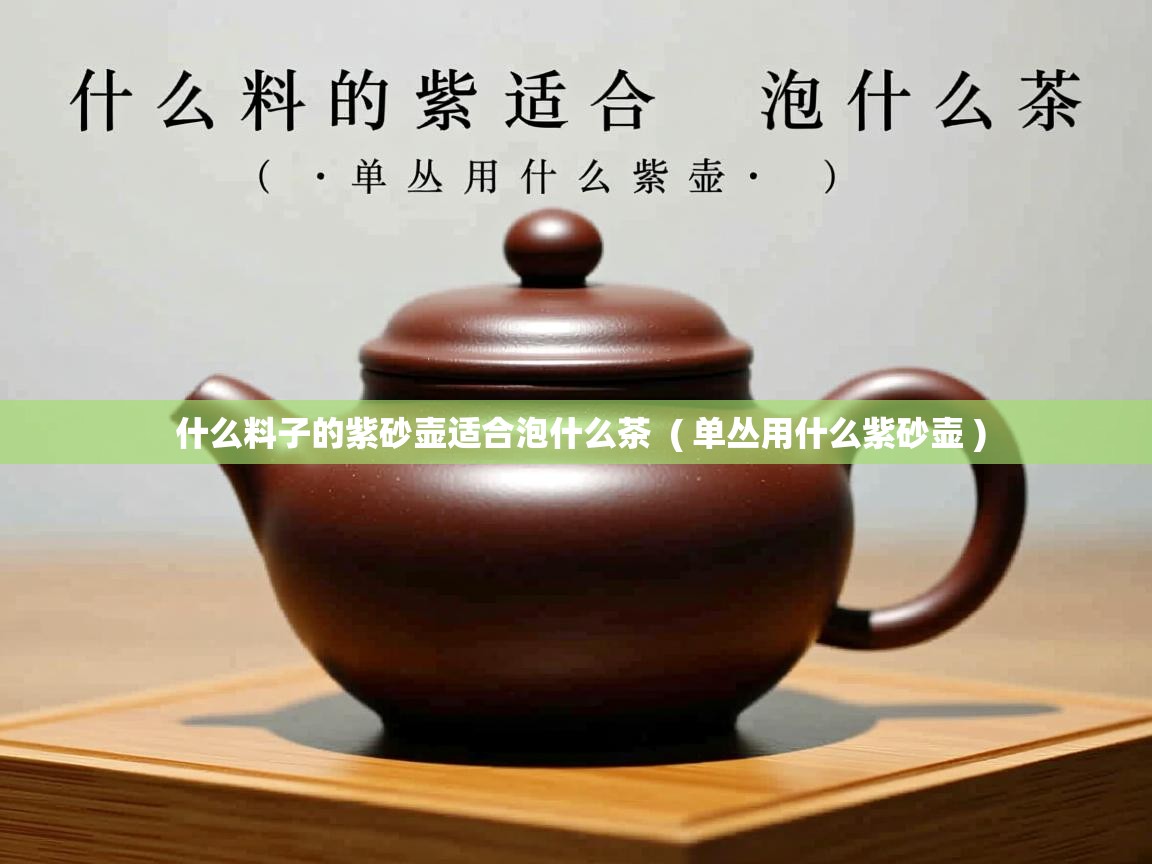  什么料子的紫砂壶适合泡什么茶  ( 单丛用什么紫砂壶 )