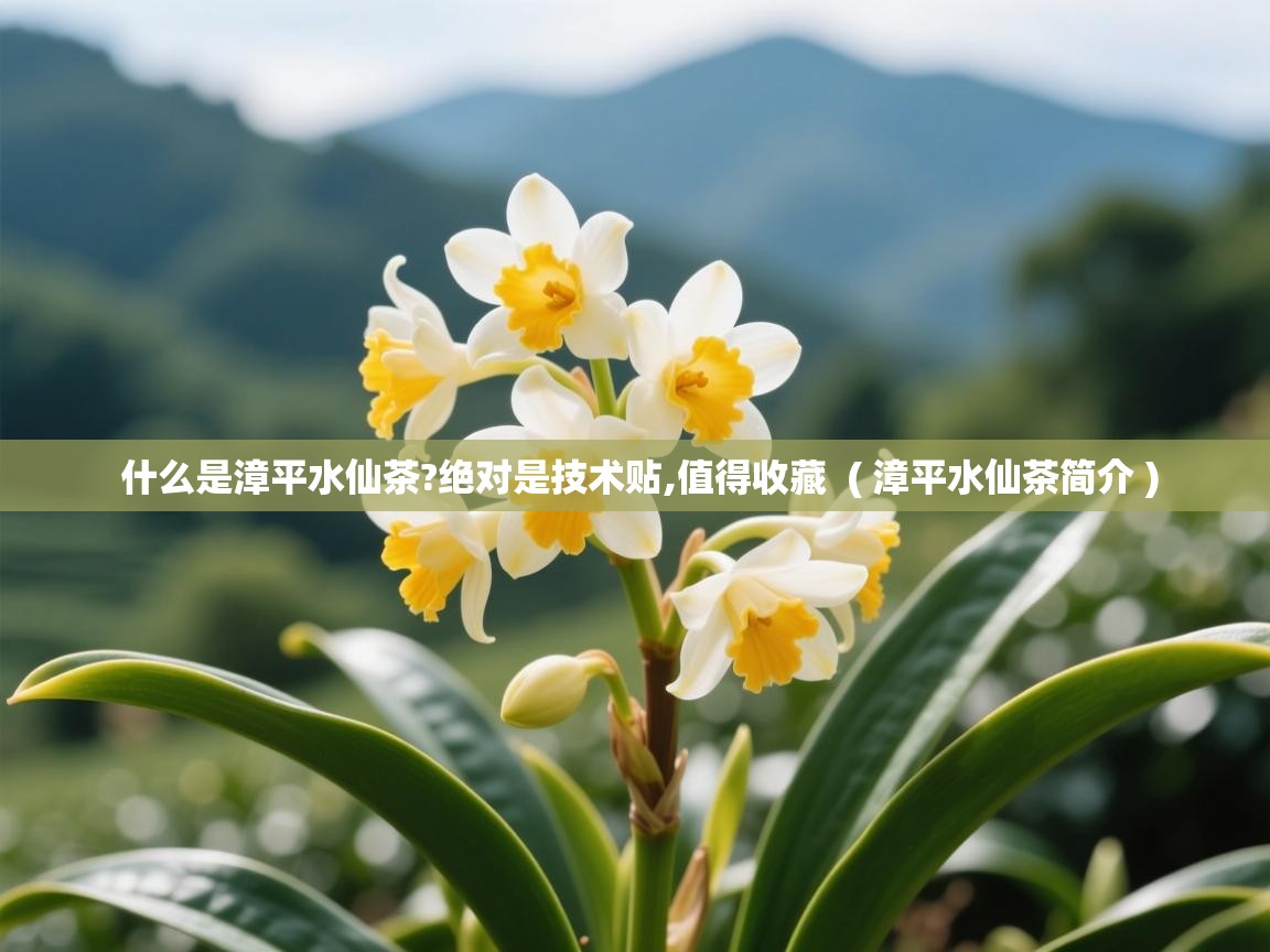 详细阅读: 什么是漳平水仙茶?绝对是技术贴,值得收藏  ( 漳平水仙茶简介 )  什么是漳平水仙茶?绝对是技术贴,值得收藏  ( 漳平水仙茶简介 )