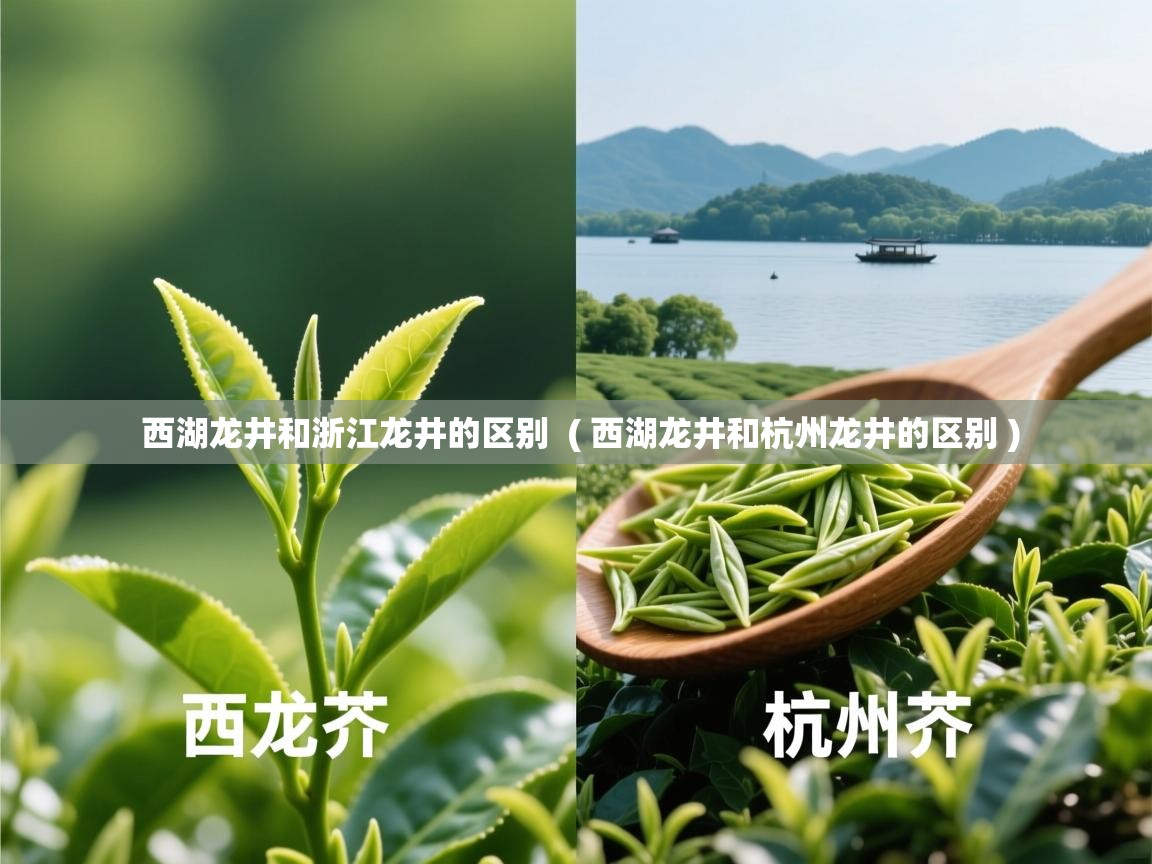 西湖龙井和浙江龙井的区别  ( 西湖龙井和杭州龙井的区别 )  西湖龙井和浙江龙井的区别  ( 西湖龙井和杭州龙井的区别 )