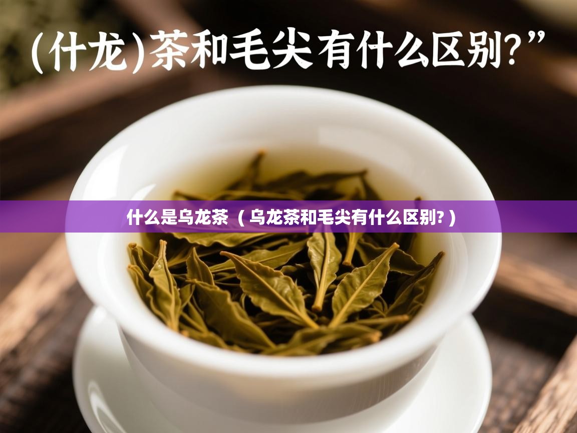 什么是乌龙茶  ( 乌龙茶和毛尖有什么区别? )  什么是乌龙茶  ( 乌龙茶和毛尖有什么区别? )