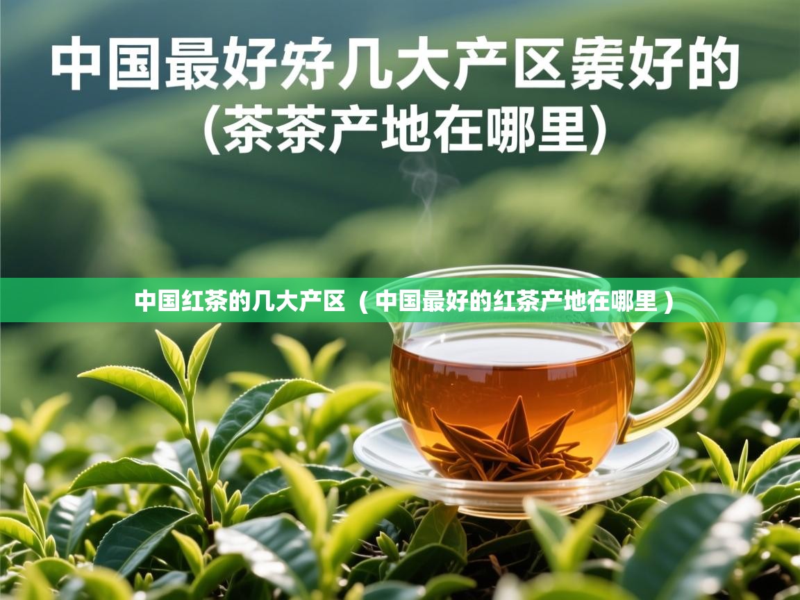中国红茶的几大产区  ( 中国最好的红茶产地在哪里 )  中国红茶的几大产区  ( 中国最好的红茶产地在哪里 )
