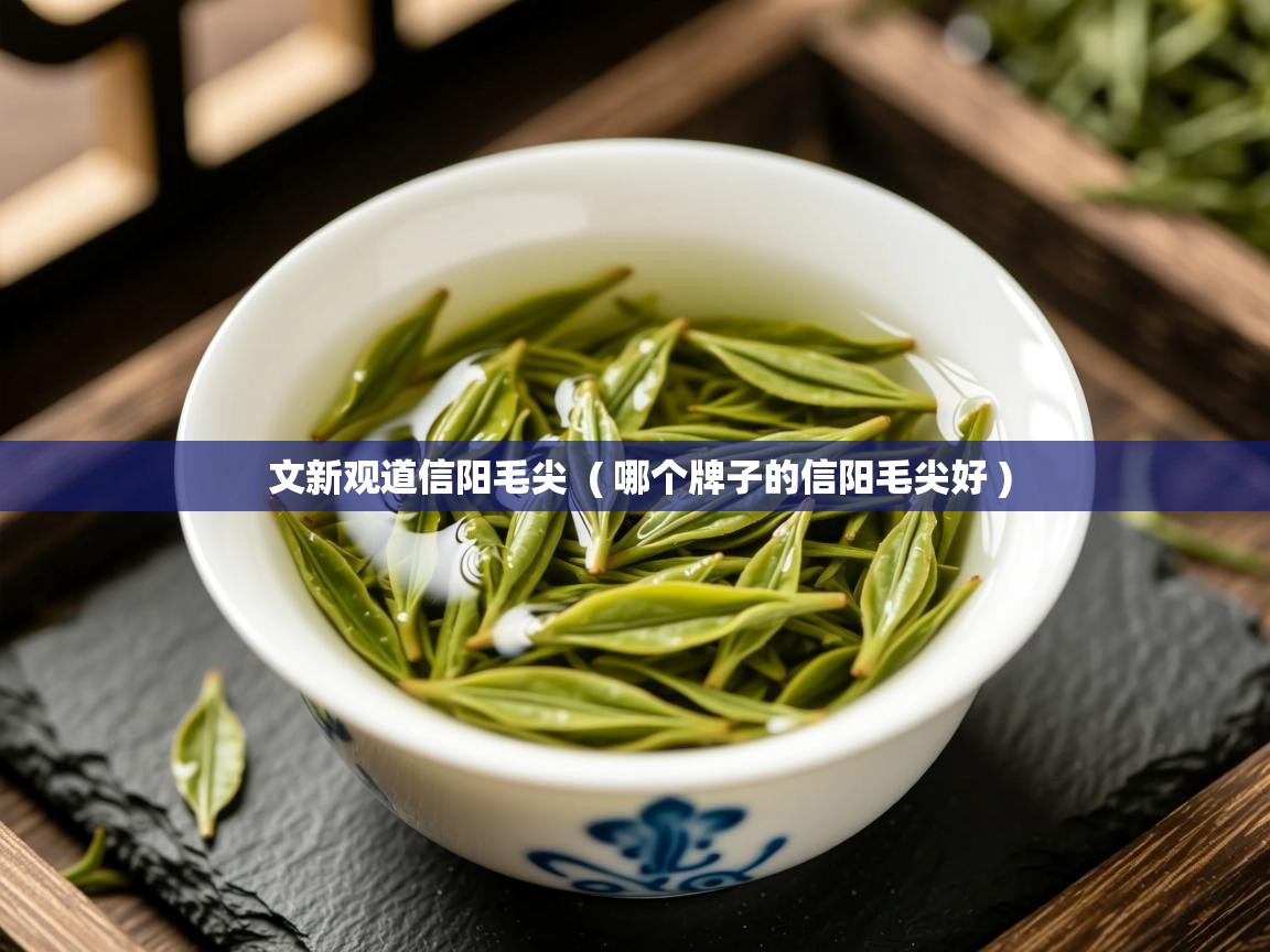 文新观道信阳毛尖  ( 哪个牌子的信阳毛尖好 )  文新观道信阳毛尖  ( 哪个牌子的信阳毛尖好 )