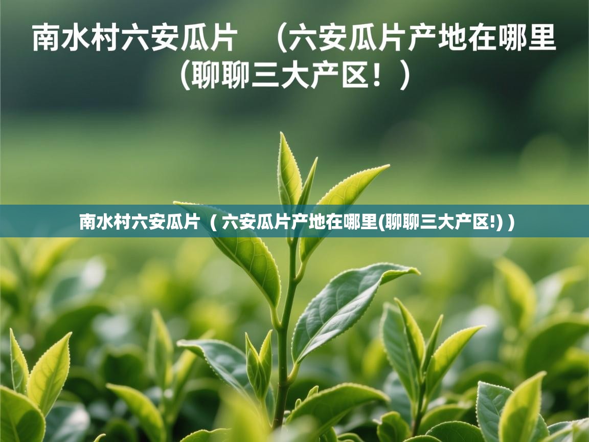 南水村六安瓜片  ( 六安瓜片产地在哪里(聊聊三大产区!) )  南水村六安瓜片  ( 六安瓜片产地在哪里(聊聊三大产区!) )