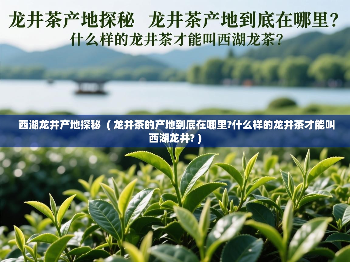 西湖龙井产地探秘  ( 龙井茶的产地到底在哪里?什么样的龙井茶才能叫西湖龙井? )  西湖龙井产地探秘  ( 龙井茶的产地到底在哪里?什么样的龙井茶才能叫西湖龙井? )