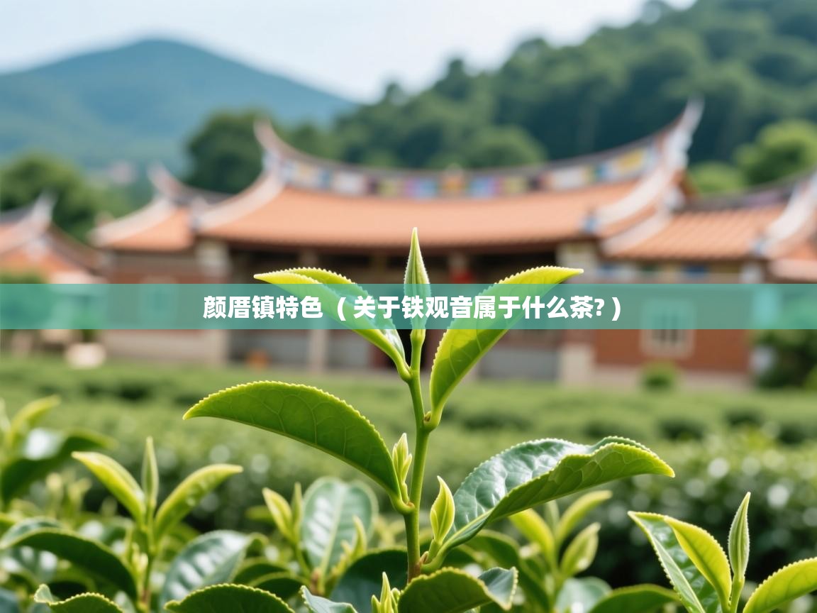 颜厝镇特色  ( 关于铁观音属于什么茶? )  颜厝镇特色  ( 关于铁观音属于什么茶? )