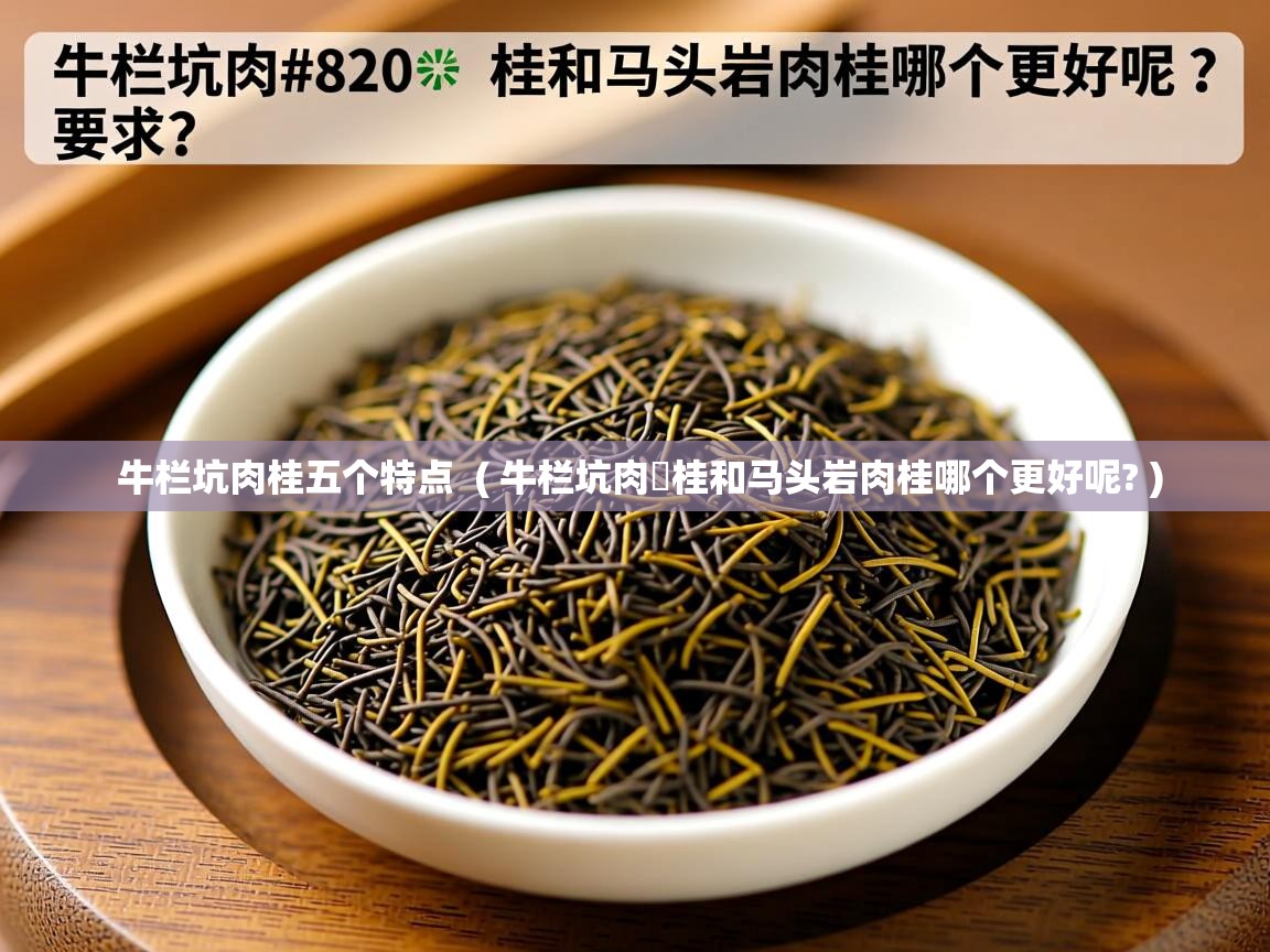 牛栏坑肉桂五个特点  ( 牛栏坑肉桂和马头岩肉桂哪个更好呢? )  牛栏坑肉桂五个特点  ( 牛栏坑肉桂和马头岩肉桂哪个更好呢? )