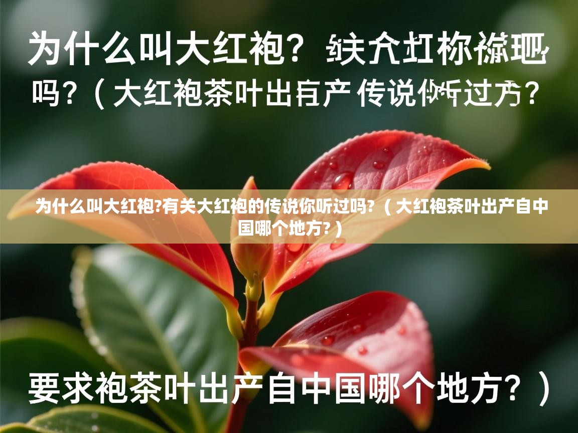 为什么叫大红袍?有关大红袍的传说你听过吗?  ( 大红袍茶叶出产自中国哪个地方? )  为什么叫大红袍?有关大红袍的传说你听过吗?  ( 大红袍茶叶出产自中国哪个地方? )