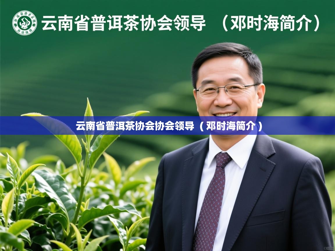 云南省普洱茶协会协会领导  ( 邓时海简介 )  云南省普洱茶协会协会领导  ( 邓时海简介 )