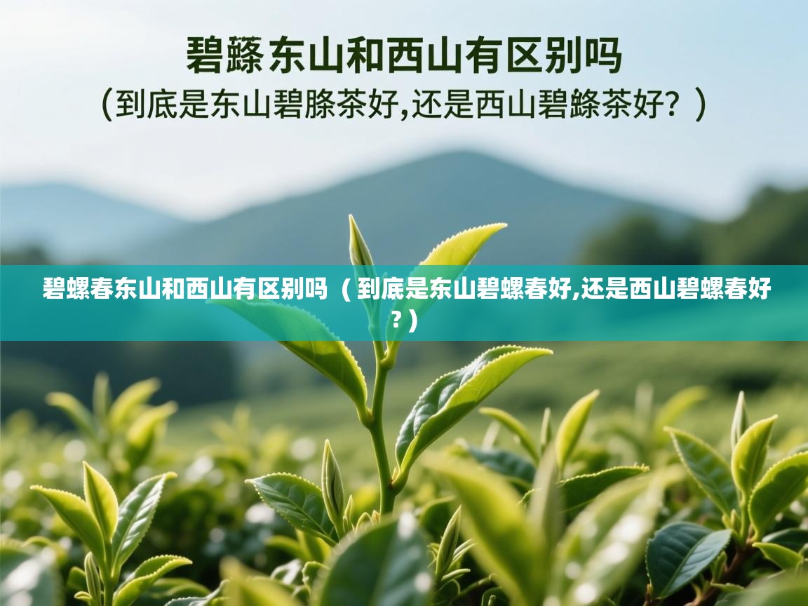 详细阅读: 碧螺春东山和西山有区别吗  ( 到底是东山碧螺春好,还是西山碧螺春好? )  碧螺春东山和西山有区别吗  ( 到底是东山碧螺春好,还是西山碧螺春好? )