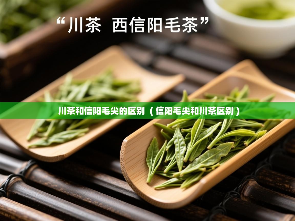 川茶和信阳毛尖的区别  ( 信阳毛尖和川茶区别 )  川茶和信阳毛尖的区别  ( 信阳毛尖和川茶区别 )