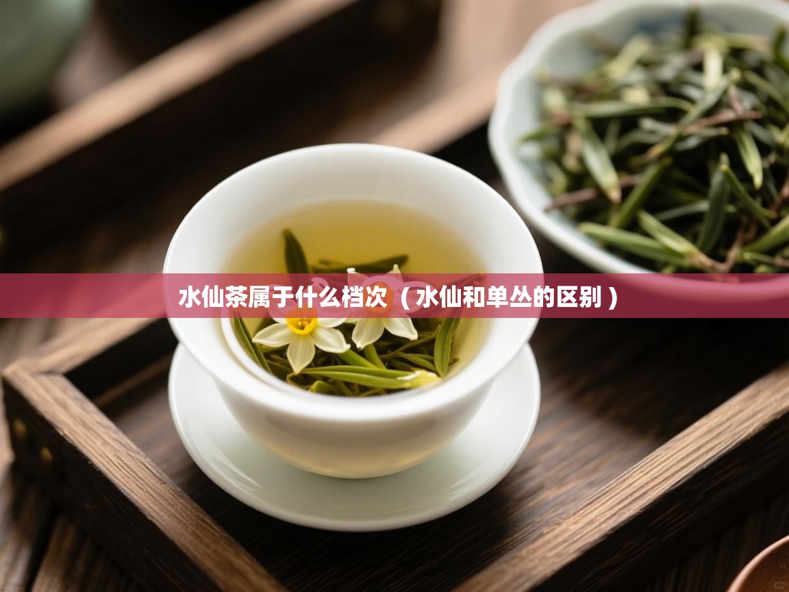水仙茶属于什么档次  ( 水仙和单丛的区别 )  水仙茶属于什么档次  ( 水仙和单丛的区别 )
