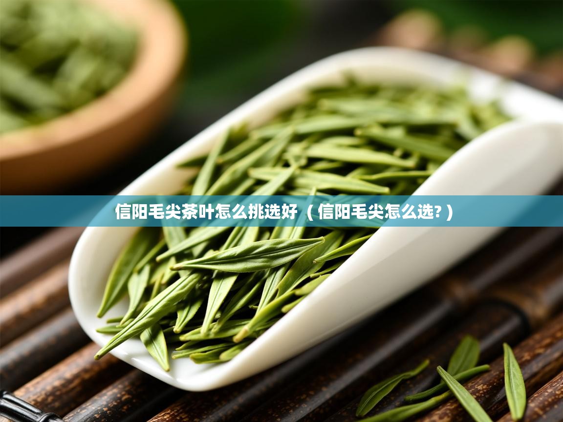 信阳毛尖茶叶怎么挑选好  ( 信阳毛尖怎么选? )  信阳毛尖茶叶怎么挑选好  ( 信阳毛尖怎么选? )