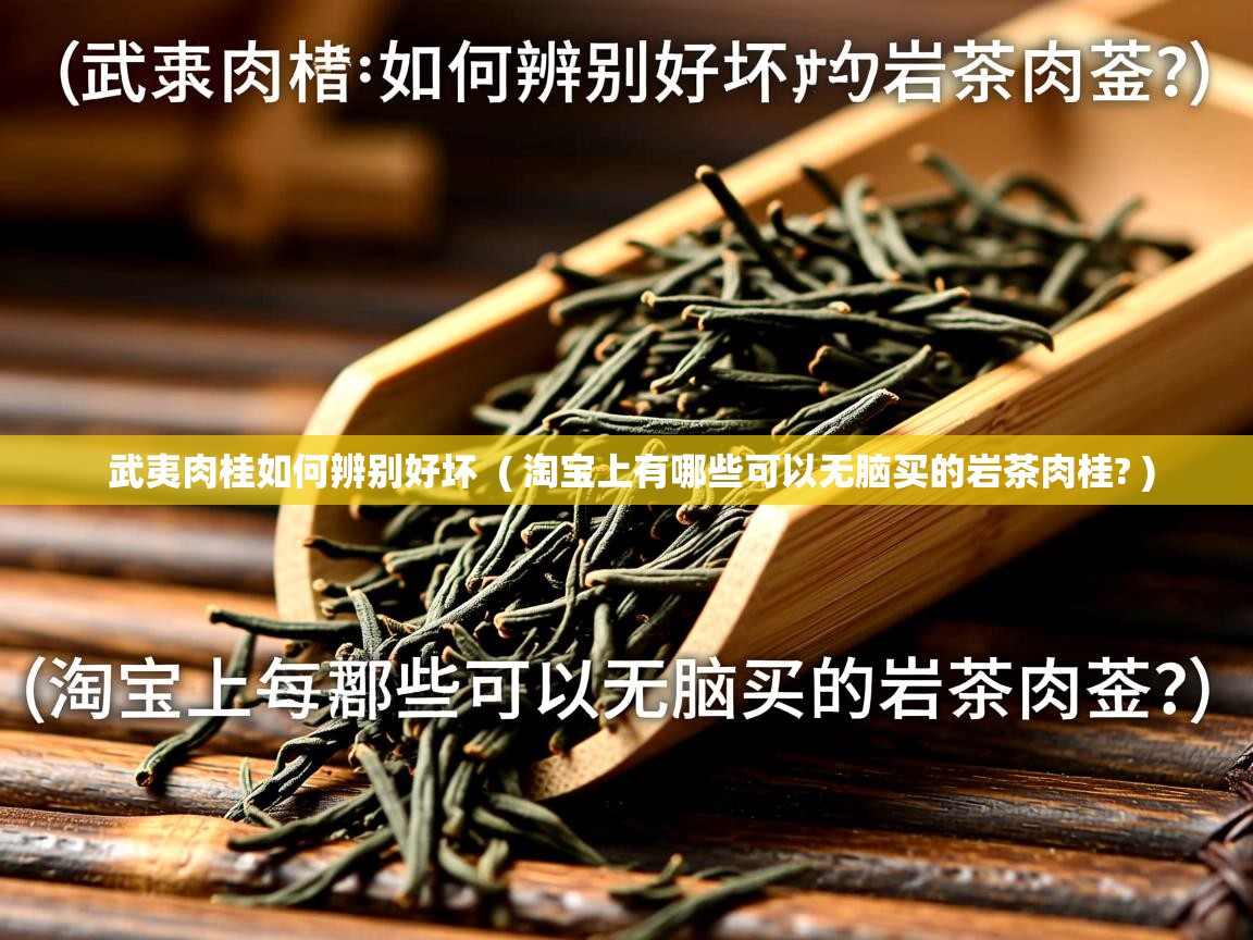  武夷肉桂如何辨别好坏  ( 淘宝上有哪些可以无脑买的岩茶肉桂? )