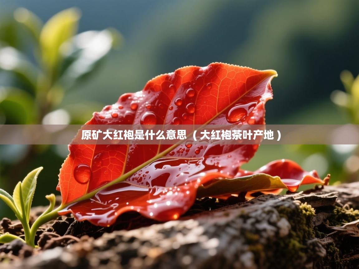 原矿大红袍是什么意思  ( 大红袍茶叶产地 )  原矿大红袍是什么意思  ( 大红袍茶叶产地 )