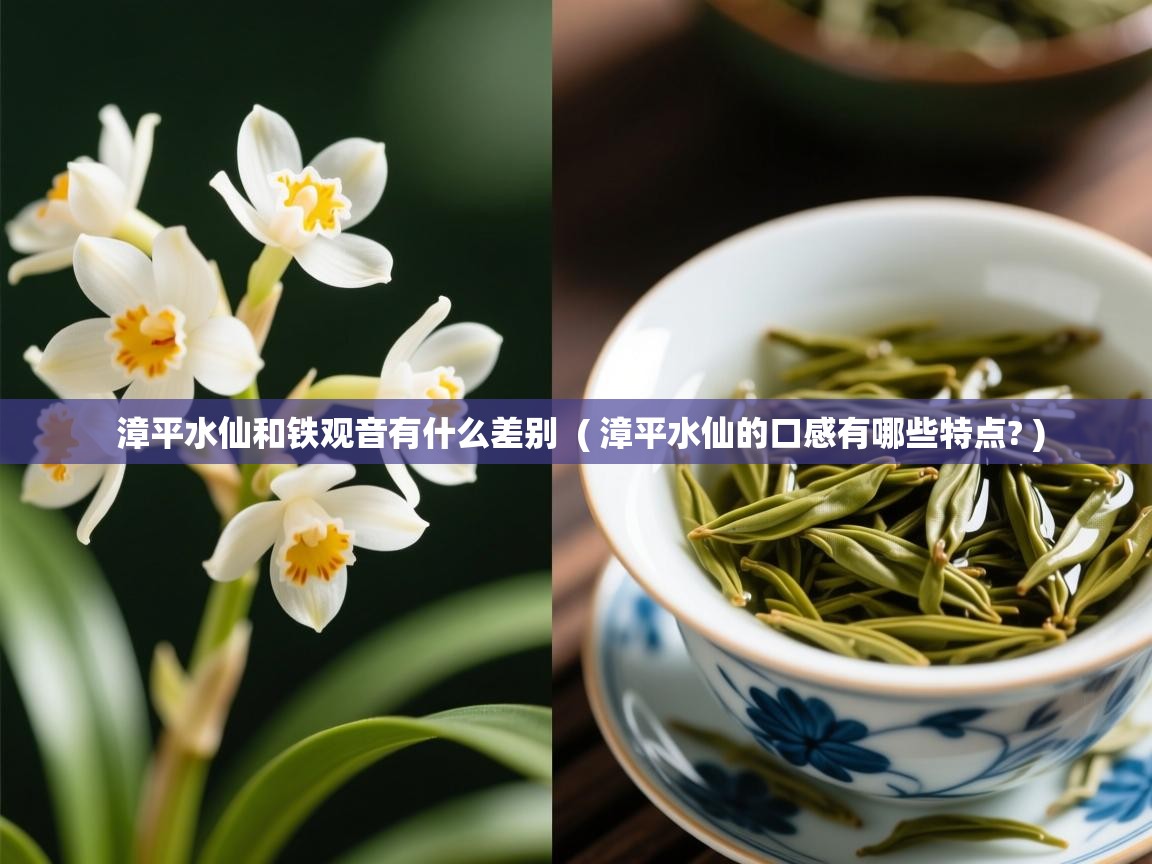 漳平水仙和铁观音有什么差别  ( 漳平水仙的口感有哪些特点? )  漳平水仙和铁观音有什么差别  ( 漳平水仙的口感有哪些特点? )