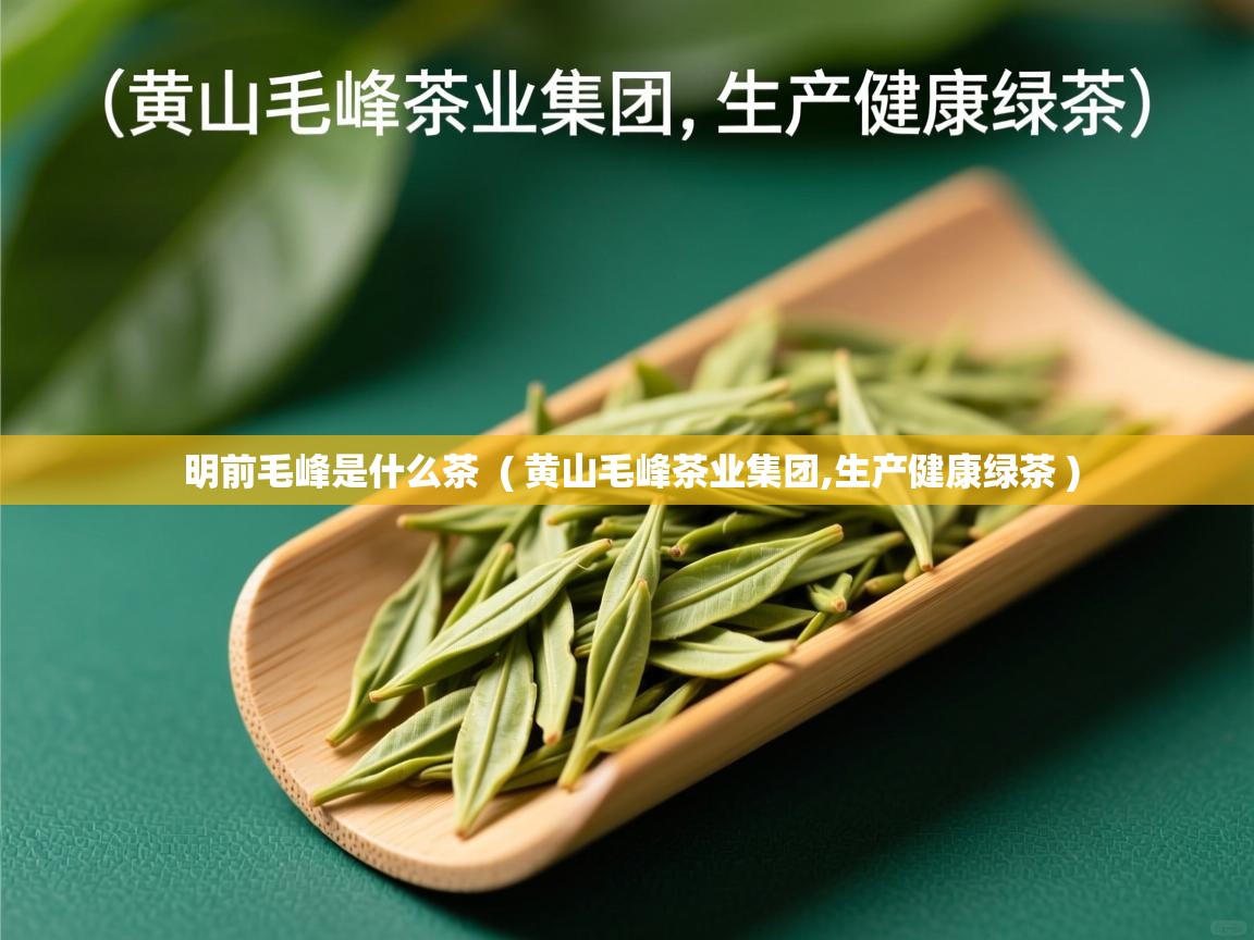 明前毛峰是什么茶  ( 黄山毛峰茶业集团,生产健康绿茶 )  明前毛峰是什么茶  ( 黄山毛峰茶业集团,生产健康绿茶 )