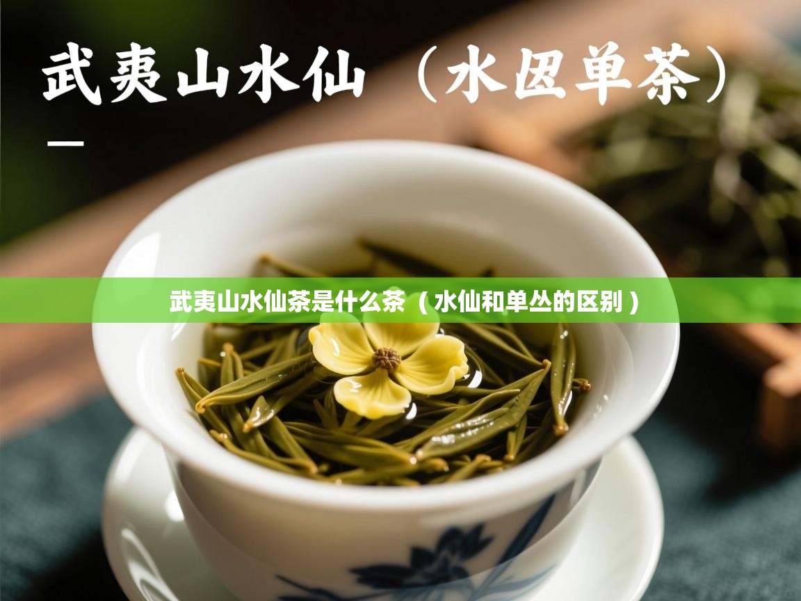武夷山水仙茶是什么茶  ( 水仙和单丛的区别 )  武夷山水仙茶是什么茶  ( 水仙和单丛的区别 )