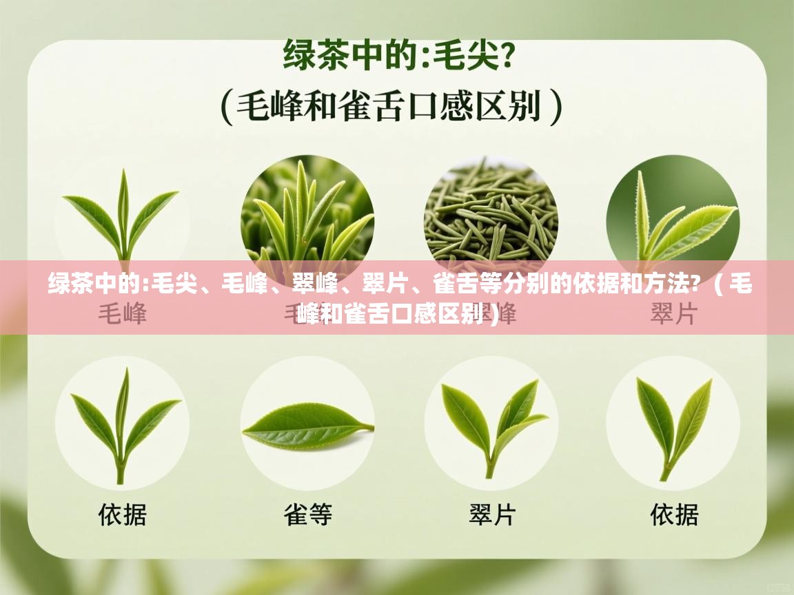 绿茶中的:毛尖、毛峰、翠峰、翠片、雀舌等分别的依据和方法?  ( 毛峰和雀舌口感区别 )  绿茶中的:毛尖、毛峰、翠峰、翠片、雀舌等分别的依据和方法?  ( 毛峰和雀舌口感区别 )