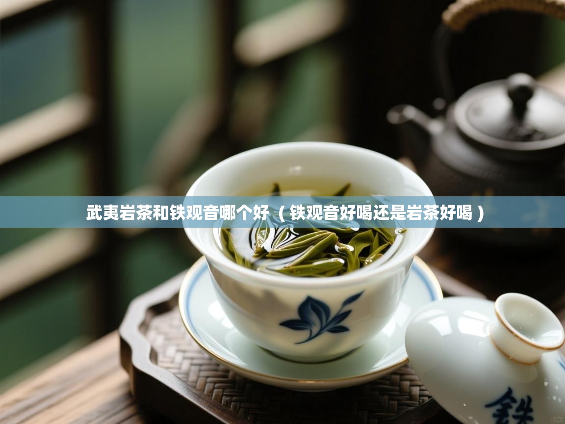 武夷岩茶和铁观音哪个好  ( 铁观音好喝还是岩茶好喝 )  武夷岩茶和铁观音哪个好  ( 铁观音好喝还是岩茶好喝 )