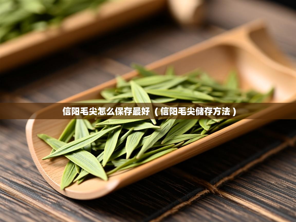 信阳毛尖怎么保存最好  ( 信阳毛尖储存方法 )  信阳毛尖怎么保存最好  ( 信阳毛尖储存方法 )
