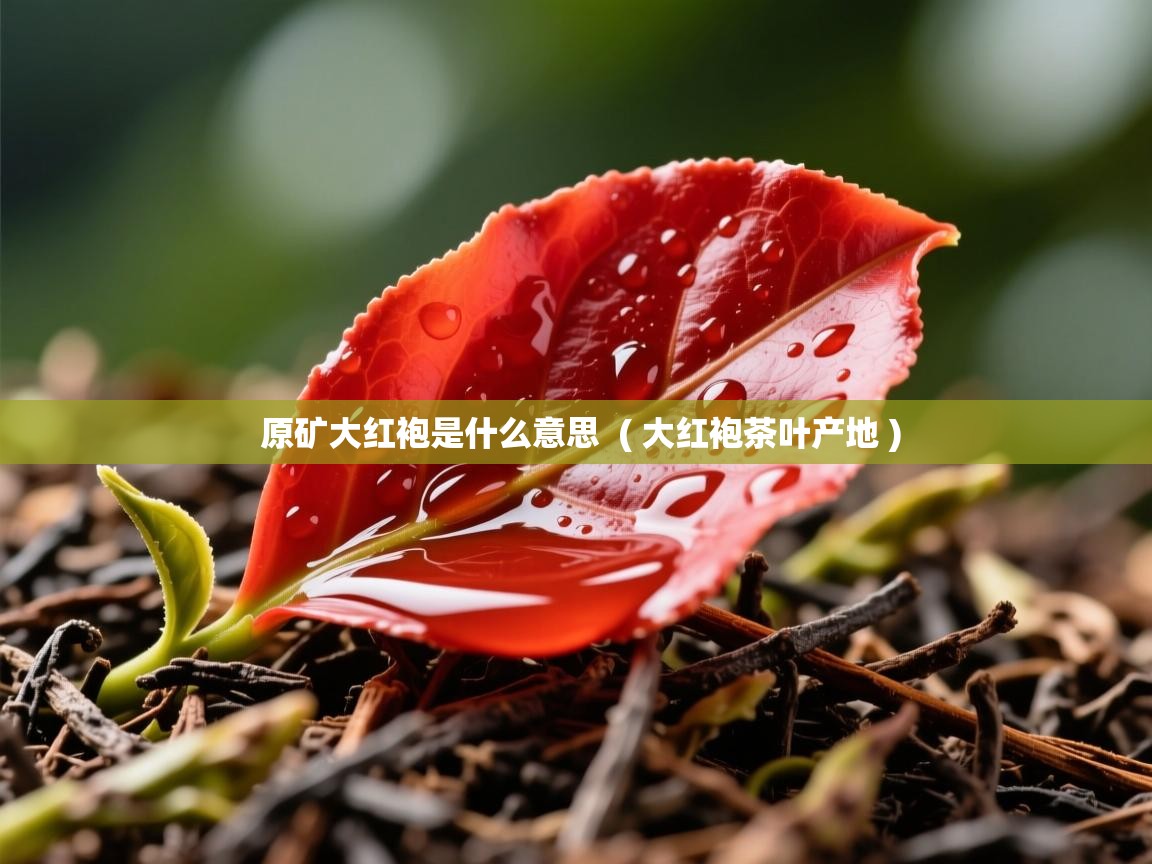 详细阅读: 原矿大红袍是什么意思  ( 大红袍茶叶产地 )  原矿大红袍是什么意思  ( 大红袍茶叶产地 )
