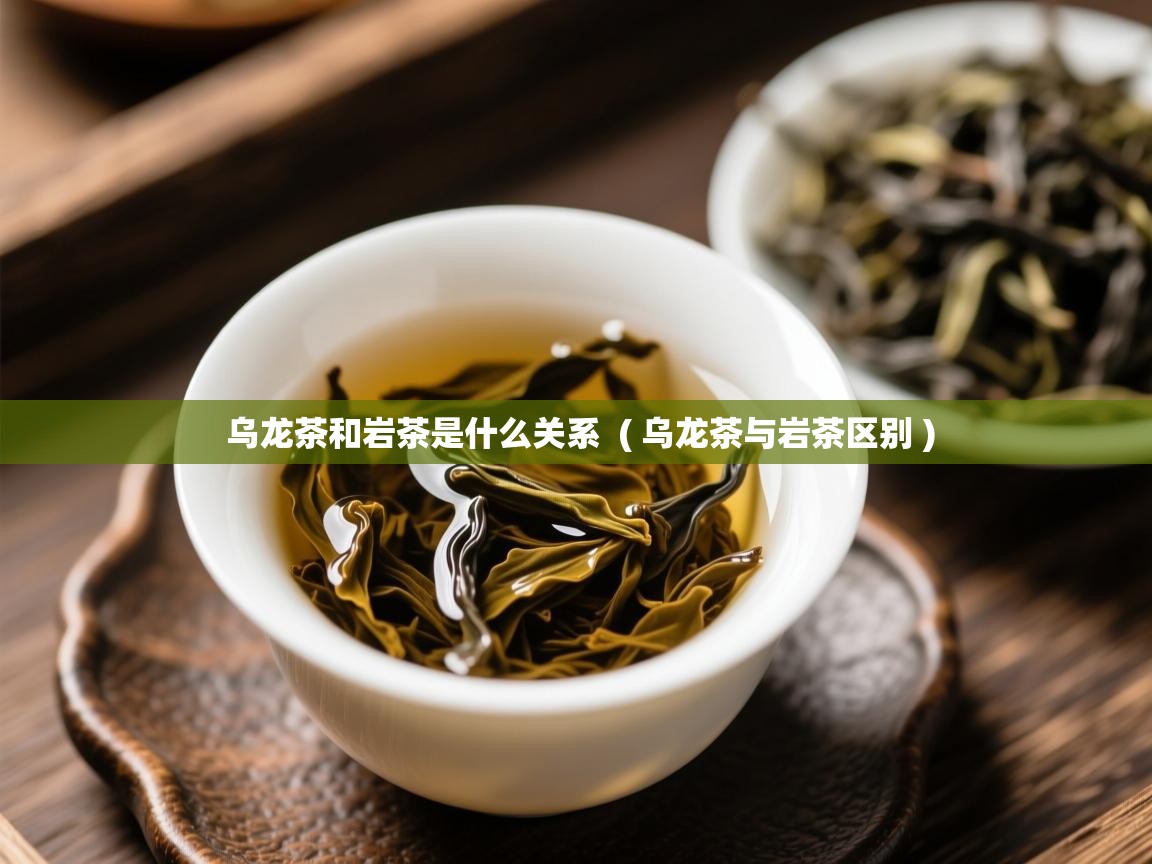 乌龙茶和岩茶是什么关系  ( 乌龙茶与岩茶区别 )  乌龙茶和岩茶是什么关系  ( 乌龙茶与岩茶区别 )