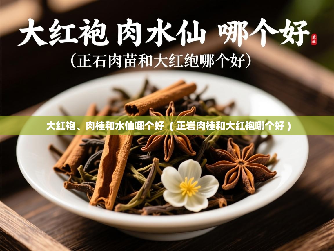 大红袍、肉桂和水仙哪个好  ( 正岩肉桂和大红袍哪个好 )  大红袍、肉桂和水仙哪个好  ( 正岩肉桂和大红袍哪个好 )