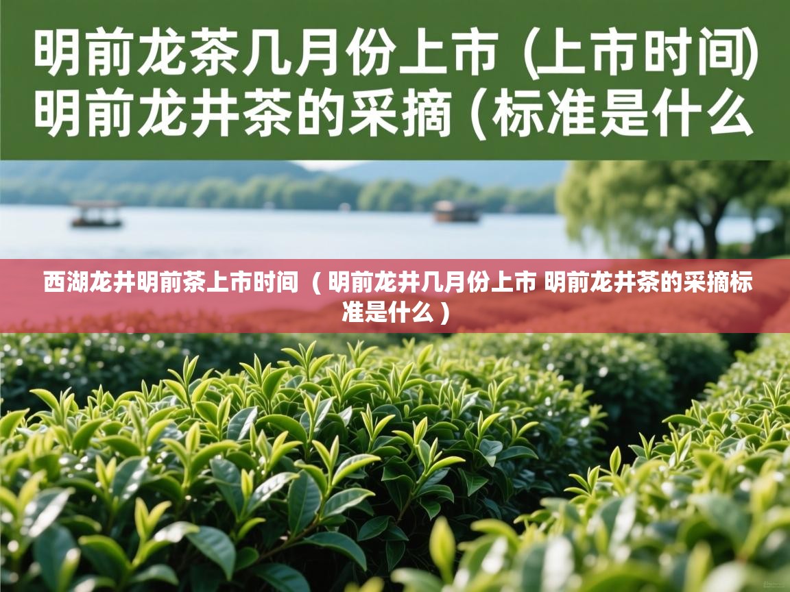 西湖龙井明前茶上市时间  ( 明前龙井几月份上市 明前龙井茶的采摘标准是什么 )  西湖龙井明前茶上市时间  ( 明前龙井几月份上市 明前龙井茶的采摘标准是什么 )