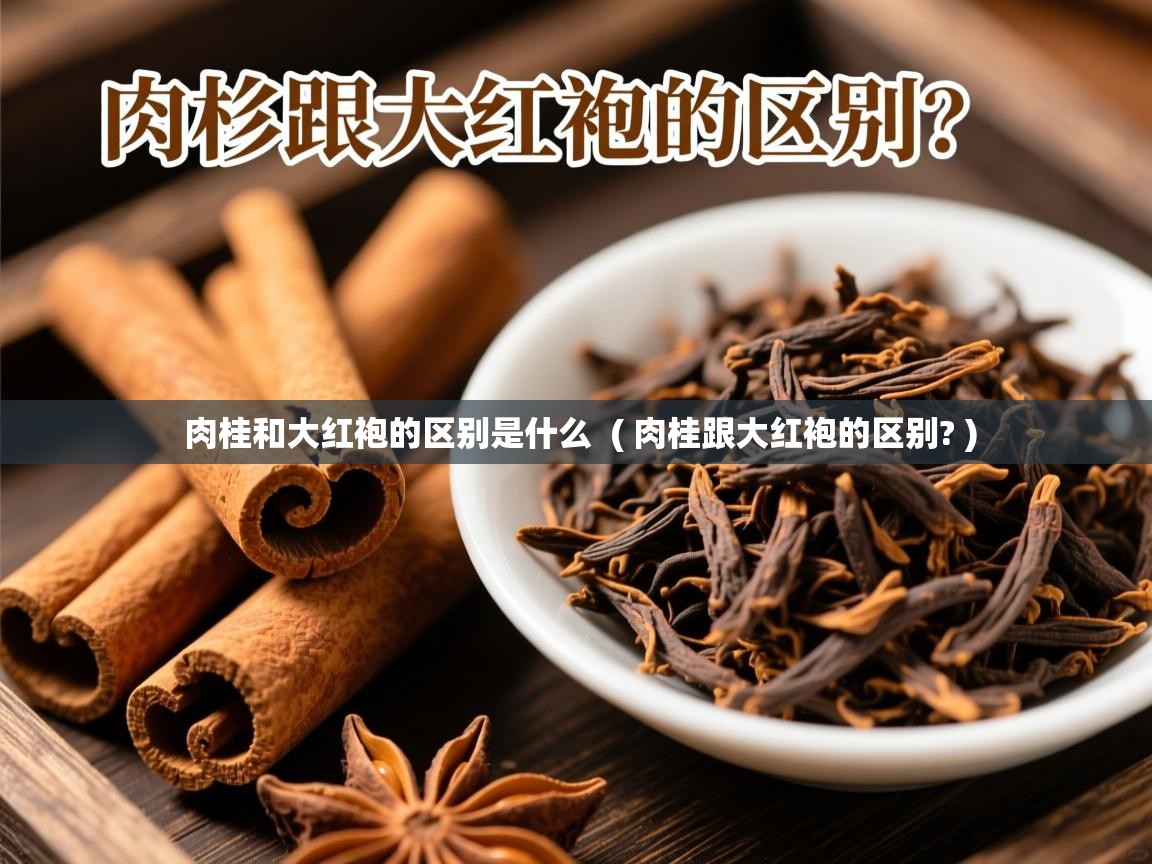 详细阅读: 肉桂和大红袍的区别是什么  ( 肉桂跟大红袍的区别? )  肉桂和大红袍的区别是什么  ( 肉桂跟大红袍的区别? )