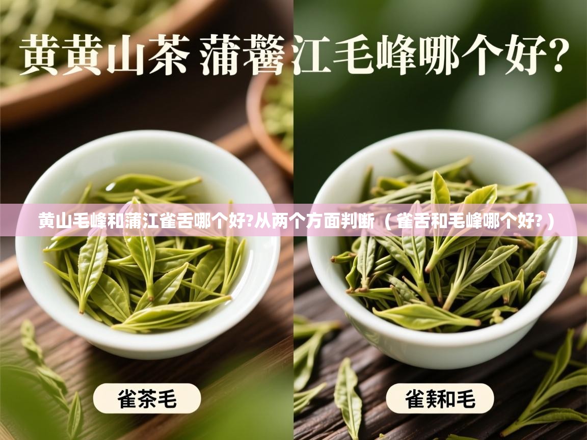  黄山毛峰和蒲江雀舌哪个好?从两个方面判断  ( 雀舌和毛峰哪个好? )