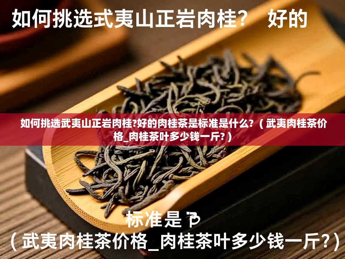 如何挑选武夷山正岩肉桂?好的肉桂茶是标准是什么?  ( 武夷肉桂茶价格_肉桂茶叶多少钱一斤? )  如何挑选武夷山正岩肉桂?好的肉桂茶是标准是什么?  ( 武夷肉桂茶价格_肉桂茶叶多少钱一斤? )