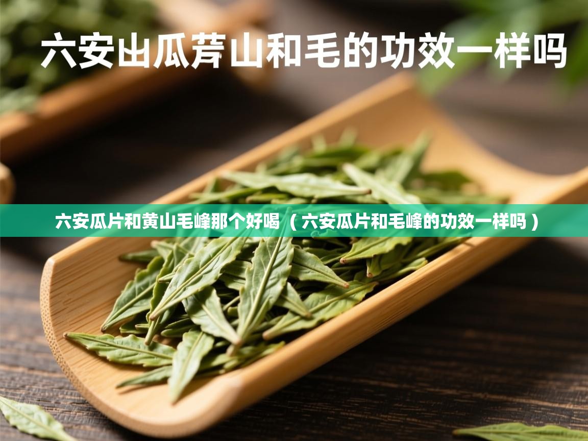 六安瓜片和黄山毛峰那个好喝  ( 六安瓜片和毛峰的功效一样吗 )  六安瓜片和黄山毛峰那个好喝  ( 六安瓜片和毛峰的功效一样吗 )