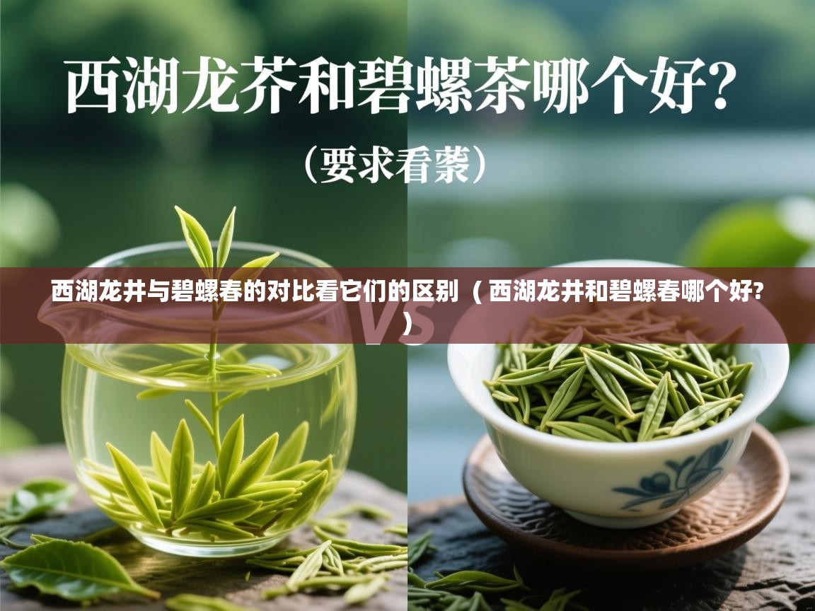 西湖龙井与碧螺春的对比看它们的区别  ( 西湖龙井和碧螺春哪个好? )  西湖龙井与碧螺春的对比看它们的区别  ( 西湖龙井和碧螺春哪个好? )